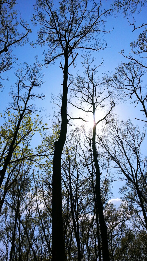 날씨 좋다