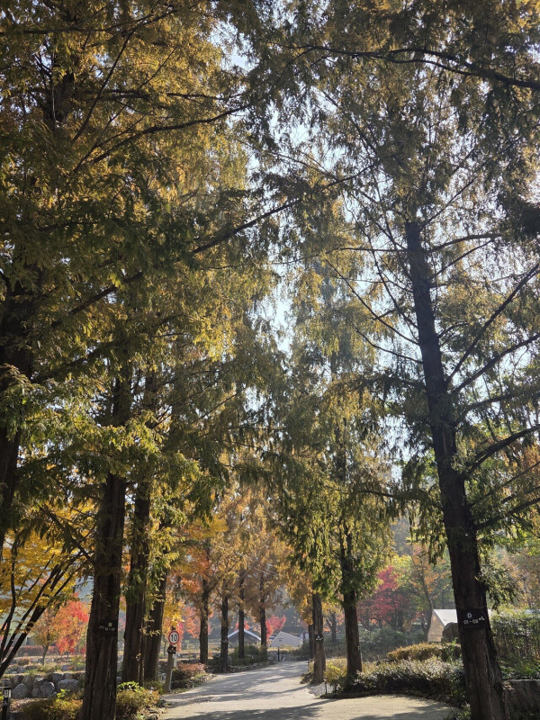 가을캠