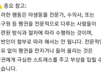 남극의셰프 펭귄 꼬리잡는거 연구원이 한거같은데??