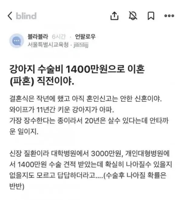 강아지 수술비 1400만원으로 파혼직전이야