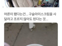 어릴때 꿈꾸던 어른음식