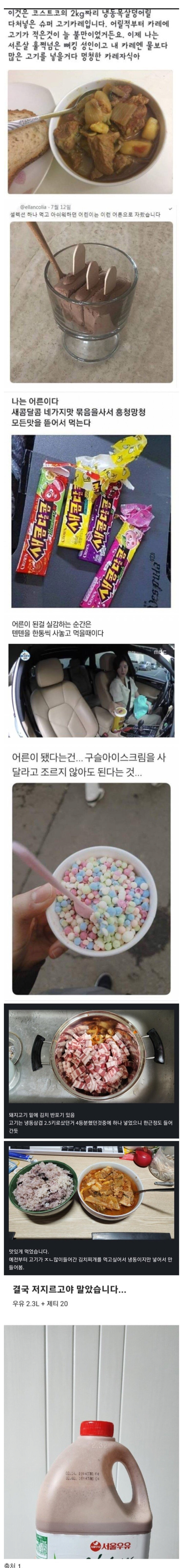 어릴때 꿈꾸던 어른음식
