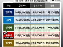 5대 전문직 사이에서도 안꿀리는 유튜버 수입