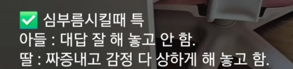 엄마가 심부름 시켰을때 아들vs딸 차이