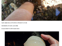 그래서 어디서사죠?