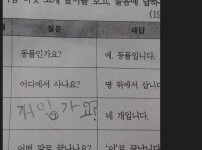 조카 문제 대신풀어줬는데 틀림