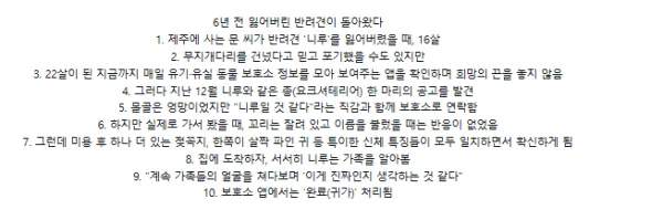 6년 전 잃어버린 반려견이 돌아왔다
