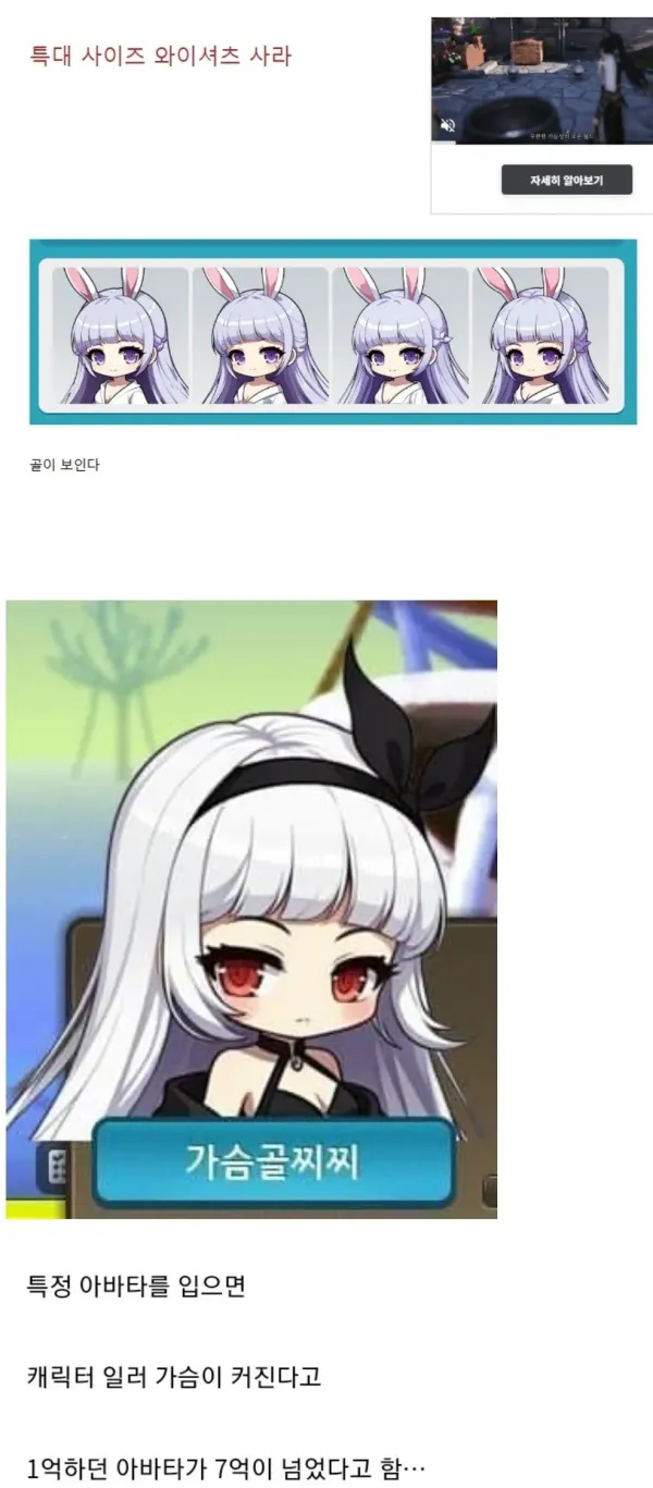 메이플 템값이 떡상한 이유....