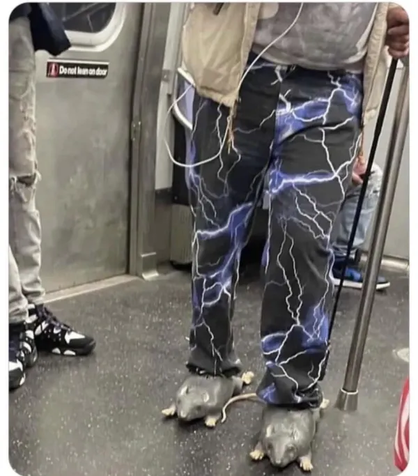 친구가 테무에서 또 ㅈ같은 사왔다.