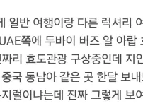 돈낭비인지 논란인 두바이 럭셔리 효도관광