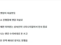 길고양이 내 차 엔진룸에 들어가 죽었을때 꿀팁 .jpg