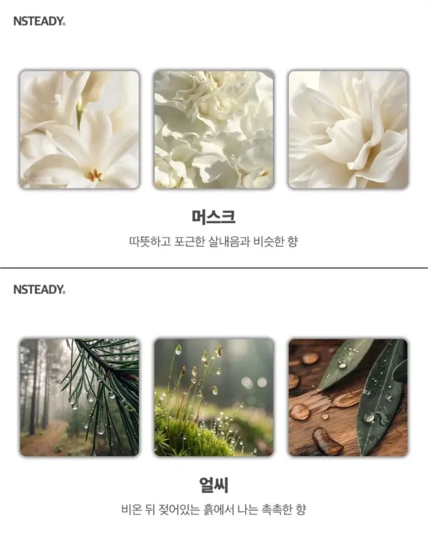 알아두면 유용한 향수 향 종류 모음