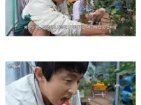 기안84식 토마토 먹방