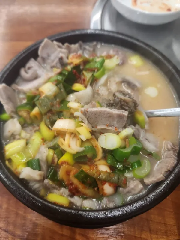 일마치고 밥먹고 들어갑니다