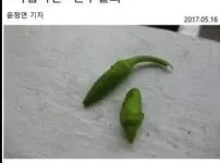 인성 더러운 남자 찾아내는 법