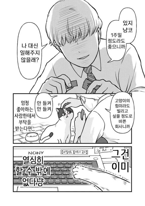 회사원 요시자와