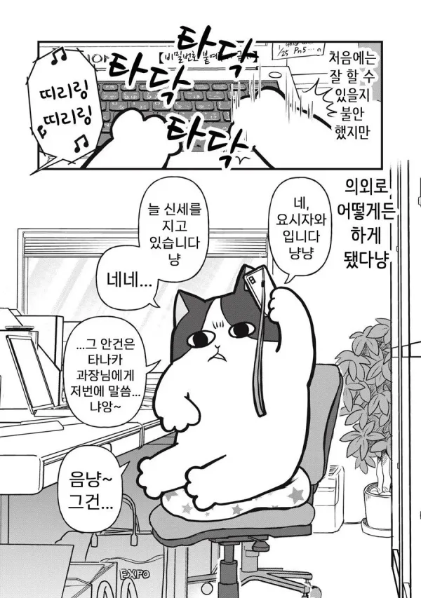 회사원 요시자와