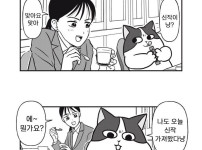 회사원 요시자와