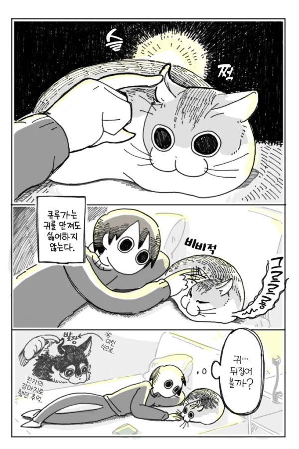 고양이 키우는 집사들은 다 해보는거