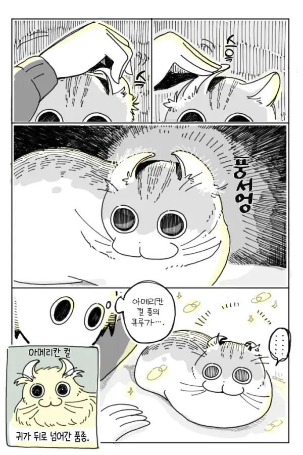 고양이 키우는 집사들은 다 해보는거
