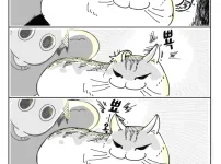 고양이 키우는 집사들은 다 해보는거