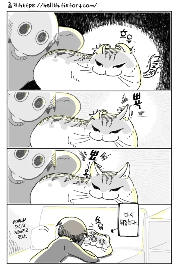 고양이 키우는 집사들은 다 해보는거