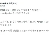 고대부터 이어져 온 수컷들의 유구한 행동