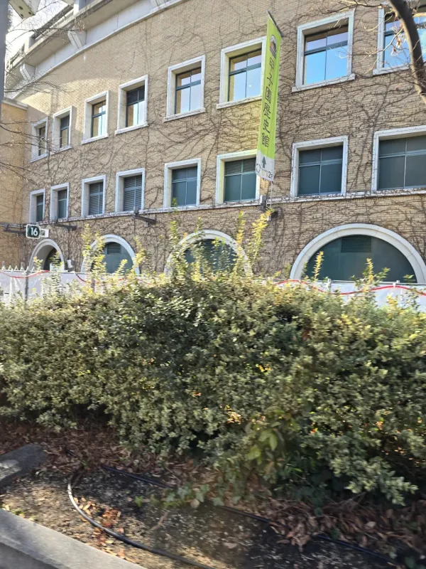 고시엔은 더워도 여름이 맞는 거 같다.