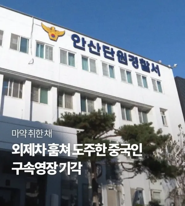 한국에 있는 외국인 근황
