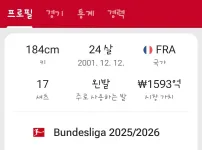 현재 분데스리가 상황