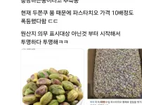 두쫀쿠를 좋아하다니 너 화짱조야?