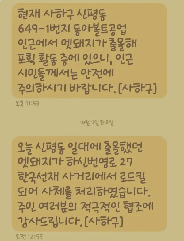 부산사람들의 따뜻함