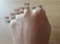 어르신들만 안다는 주먹 달력