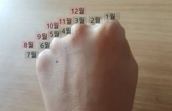 어르신들만 안다는 주먹 달력