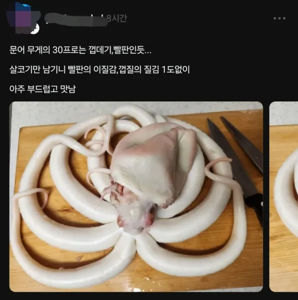 해산물 손질 삼대장 ㄷㄷㄷ
