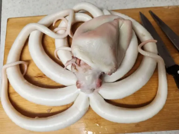 해산물 손질 삼대장 ㄷㄷㄷ