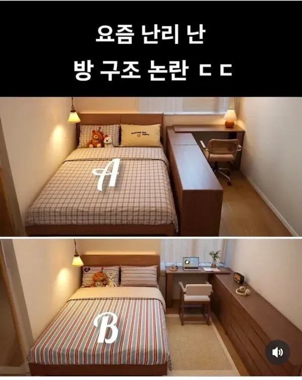 반반 갈린다는 방구조