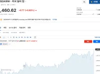 인베스팅도 환율 1460원 돌파