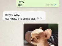 강아지 이름이 왜 제리야?