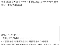 물건 사기 전 디시에서 후기 체크 하는 사람