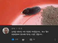농작물을 다 죽이는 아주 악독한 녀석입니다.허나..
