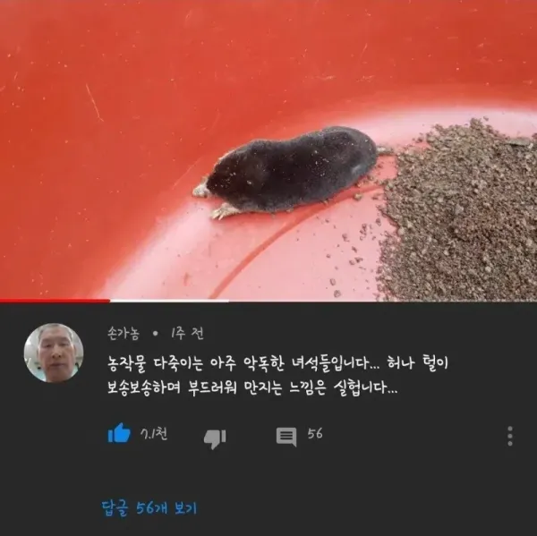 농작물을 다 죽이는 아주 악독한 녀석입니다.허나..