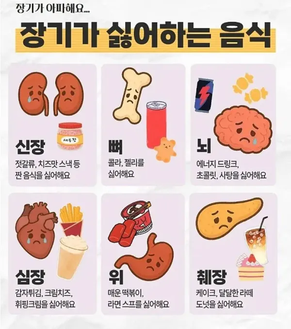장기가 싫어하는 음식