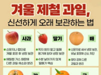 1월19일 오늘의 생활팁