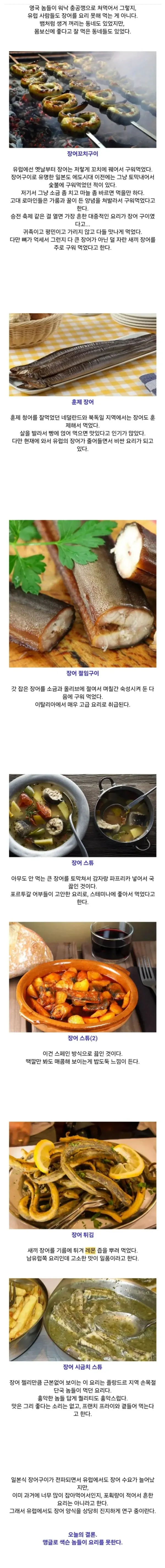 서양의 장어 요리들