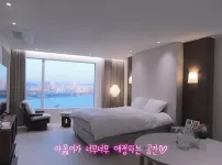 유튜버 아옳이 이사간 새집 뷰