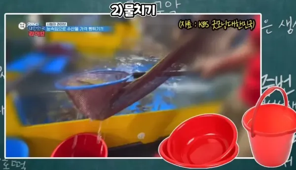 수산시장 사기수법 총정리