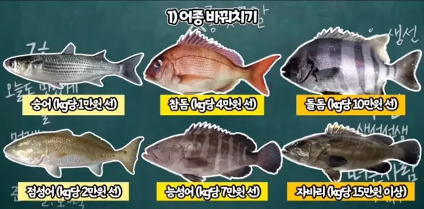 수산시장 사기수법 총정리