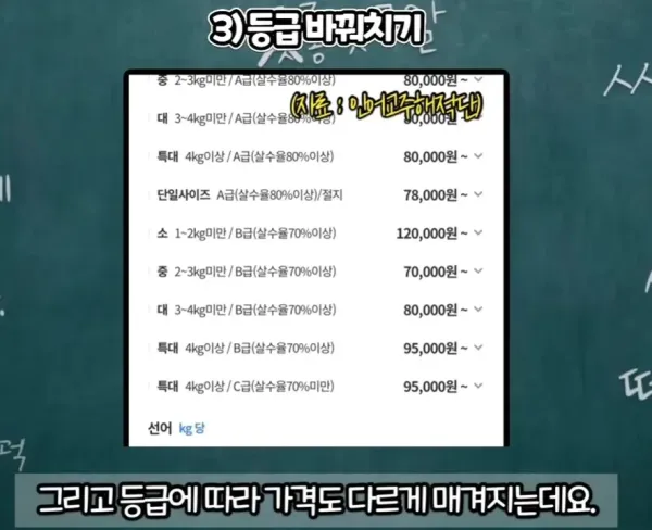 수산시장 사기수법 총정리