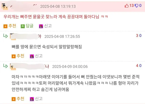 개 키워 본 사람들은 공감하는 것